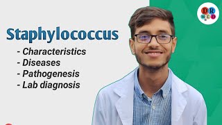 Staphylococcus aureus  Gram positive cocci  Bacteriology  Microbiology bangla lecture [upl. by Kynthia]