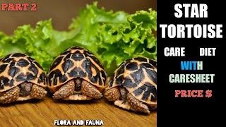 Indian star tortoise care in hindi  with caresheet  part 2  sulcata care  Flora And Fauna [upl. by Hadihsar723]