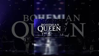 Queen tribute band performs quotDONT STOP ME NOWquot [upl. by Waal513]