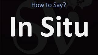 How to Pronounce In Situ CORRECTLY [upl. by Eigriv531]