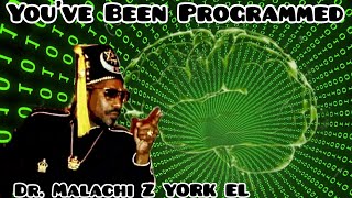 Dr Malachi Z York EL  Youve Been Programmed [upl. by Heiner]