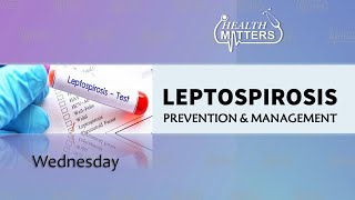 Leptospirosis Prevention amp Management  Health Matters  July 10 2024 [upl. by Almund]