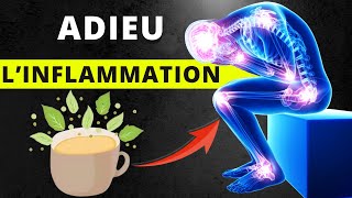 Vous N’Aurez Jamais D’Inflammation Si Vous Buvez Ces 15 Boissons Antiinflammatoires [upl. by Lezah]