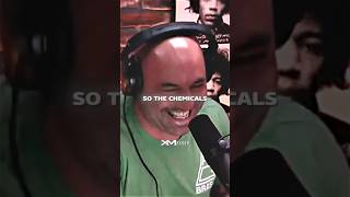 Joey Diaz’s Hilarious Story About Biscuits [upl. by Uball]