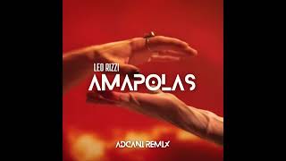 Amapolas  Leo Rizzi ADCANI Remix [upl. by Jarus]