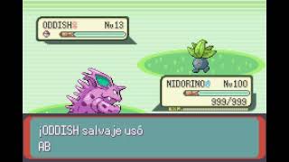 POKEMON EMERALD  NIDORINO  BARRERA  BARRIER [upl. by Mcgurn410]