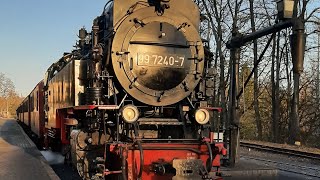 🌲🍁🍂🚂 99 7240 Zwischen Wernigerode Hauptbahnhof und Wernigerode  Westerntor 10112024 🚂🍂🍁🌲 [upl. by Siahc]