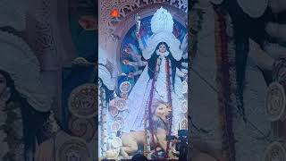 labrador Durga Man Durga Puja YouTube 🌎🙏 video [upl. by Sihunn]