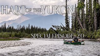 Hart of the YUKON  14 Days Solo Camping in the Yukon Wilderness  Special Episode 20 [upl. by Atsev]