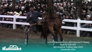 MidAmerica Trotting Sale  Lot 5 Video Highlight [upl. by Yenalem734]