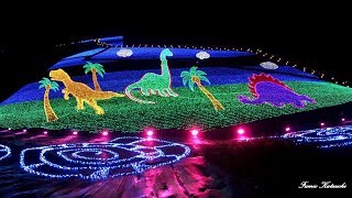 Geo Illumination 【 ジオ・イルミネーション 】福井県勝山市 [upl. by Nedra683]