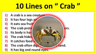 10 Lines on Crab in English  Short essay on Crab in English  Few lines about Crab in English [upl. by Greenlee891]