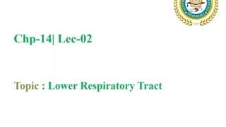 Respiratory System of Humans  Lower Respiratory Tract  Federal Board Biology Part2 [upl. by Ayikahs]