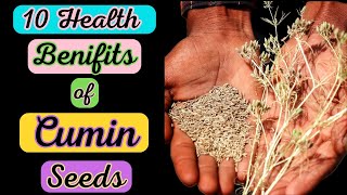 Discover 10 Incredible Health Benefits of Cumin seeds  Health Benefits amp Uses of Jeera  In English [upl. by Gustie]