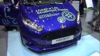 Ford Fiesta ST 16 ECOBoost [upl. by Einhpets]