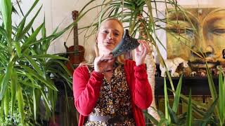 Title Siciliano  played by Vera Unfried on the AG concerto Ocarina [upl. by Iren]