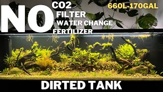 Aquascape Tutorial How To Make A Natural Planted Dirted Tank  Low Tech Tank  Ecosystem Aquarium [upl. by Gautier]