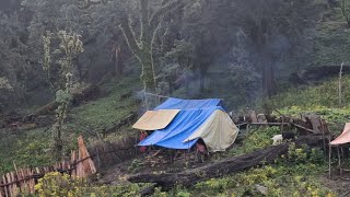 Natural Beautiful Most Peaceful and Relaxing Lifestyle  Himalayan Buffalo Shepherds Life [upl. by Yasui]