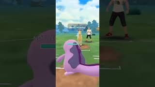 Galarian Weezing is op in Great league pokemon battle shorts [upl. by Hgielrahc]