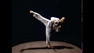 Taekwondo basic kicks [upl. by Immac]