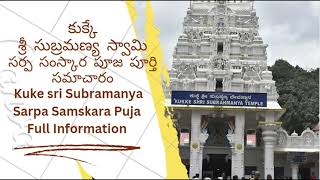 Kukke Subrahmanya Swamy Sarpa Samskara Pooja process కుక్కే సుబ్రహ్మణ్య స్వామి సర్ప సంస్కార పూజ [upl. by Kubiak984]