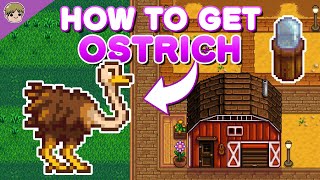 How to get an Ostrich in Stardew Valley [upl. by Adriana970]