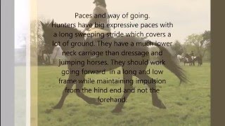 Ridden Hunter Explained [upl. by Trab]