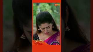 Saadhana  Gemini TV Serial shorts [upl. by Eli48]