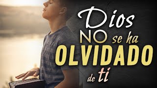 Dios no se ha olvidado de ti  Reflexiones cristianas [upl. by Daven165]