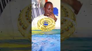 SERIGNE Moustapha Dièye motivation senegambia senegal gambia youtubeshorts italy [upl. by Roice344]