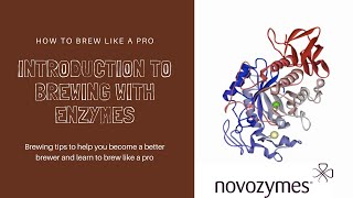 Enzymes in Brewing  Basic Introduction  novozymes and BeerCocomau [upl. by Akkahs]