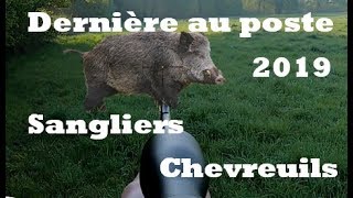 Derniere au poste sanglierschevreuils 2019 [upl. by Navac]