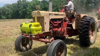 First Cutting Orchard Grass 2024 [upl. by Laetitia]