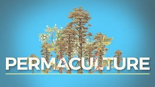 What is Permaculture And Why Should I Care [upl. by Lauretta847]