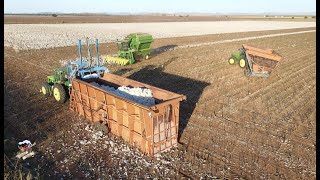 Cotton Harvest 2021 near Snyder Oklahoma [upl. by Mir992]