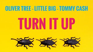 Oliver Tree Little Big Tommy Cash  Turn it up [upl. by Pogah583]