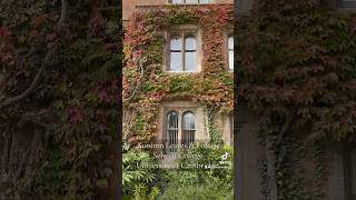 Autumn Leaves amp Foliage Selwyn College University of Cambridge Day in My Life as a PhD Student POV [upl. by Imre342]