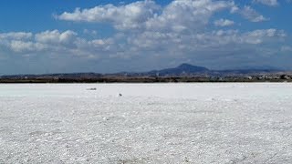 Larnaca Salt Lake Cyprus Salzsee von Larnaka Zypern [upl. by Yetnruoc141]