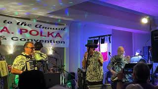 Polka Family Band  Pennsylvania Hills Polka USPA 2023 [upl. by Pauline]