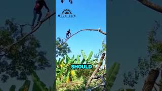 Man Uses Chainsaw To Cut Branch While Walking On It [upl. by Alan]