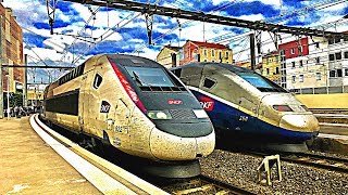 GARE de MONTPELLIER  SAINTROCH  COMPILATION de TRAINS TGV OUIGO TER FRET [upl. by Darcey]