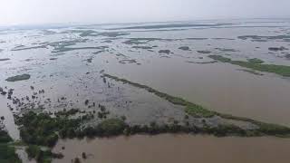 Tropical Storm Harvey Wallisville Texas [upl. by Harhay]