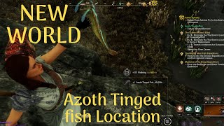 New World  How to get Azoth Tinged Fish [upl. by Gearhart797]