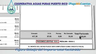 Como pagar a Través del HomeBanking del Banco Macro [upl. by Rodolphe]