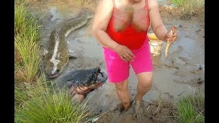 Amazing fishing at Battambang  people fishing in Cambodia  How to Catches fish Part 197 [upl. by Cimah]