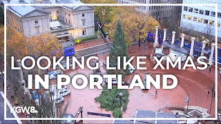 Christmas tree arrives at Pioneer Courthouse Square [upl. by Magner133]