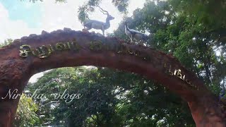 😱RS 20 போதும் 🔥Guindy national park chennai  Tamil 2024 [upl. by Metzger168]