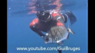 Spearfishing in Terceira island Azores Caça submarina na ilha Terceira Açores [upl. by Vaughan]