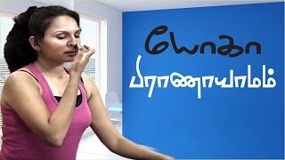 Pranayam  Yoga for Obesity and Diabetes in Tamil  Meditation [upl. by Rhyner]