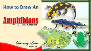 How to Draw an Amphibians  Drawing Lesson [upl. by Ingmar]